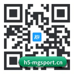 系统版 iOS 二维码
